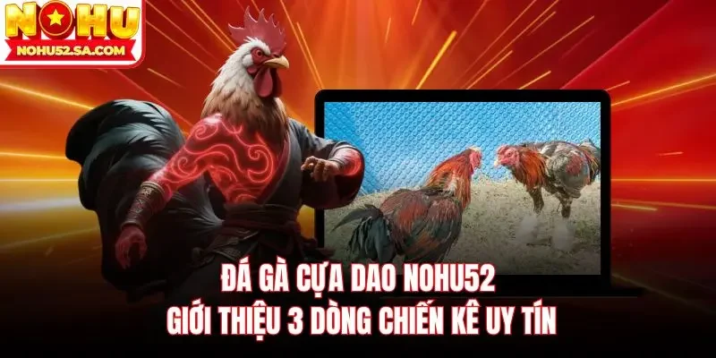 Đá gà cựa dao Nohu52