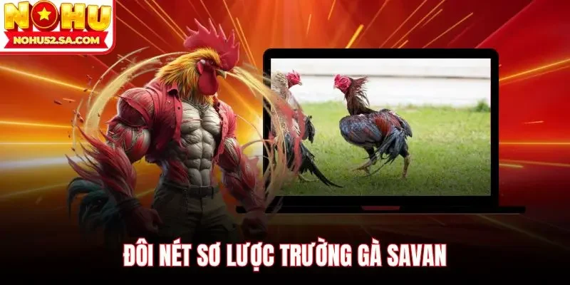 Đôi nét sơ lược trường gà Savan
