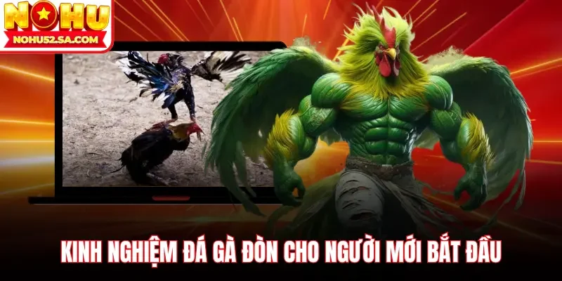 Kinh nghiệm đá gà đòn cho người mới bắt đầu