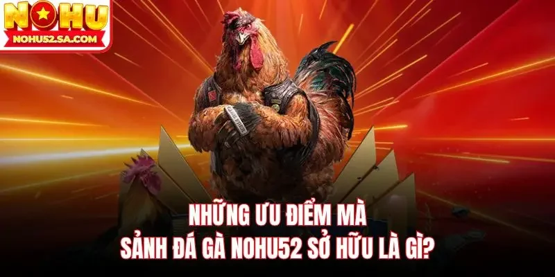 Những ưu điểm mà sảnh đá gà Nohu52 sở hữu là gì?
