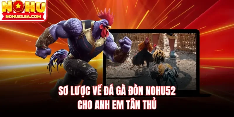 Sơ lược về đá gà đòn Nohu52 cho anh em tân thủ