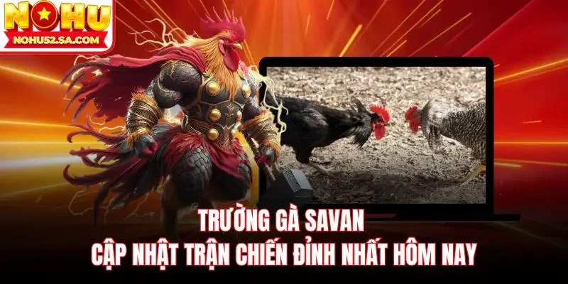 Trường gà Savan
